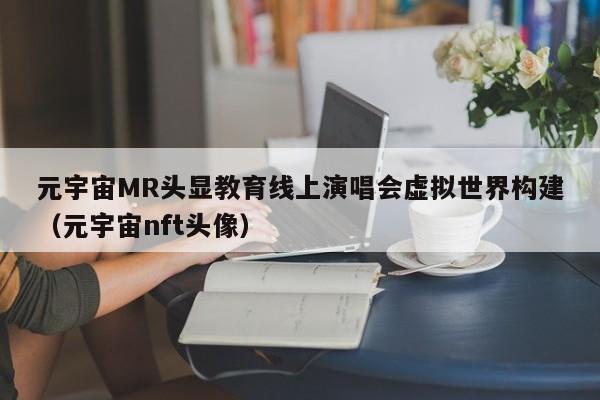 元宇宙MR头显教育线上演唱会虚拟世界构建（元宇宙nft头像）