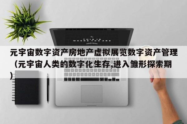 元宇宙数字资产房地产虚拟展览数字资产管理（元宇宙人类的数字化生存,进入雏形探索期）