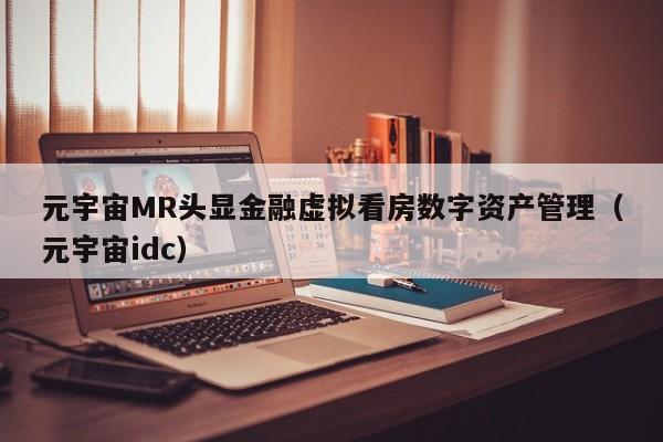 元宇宙MR头显金融虚拟看房数字资产管理（元宇宙idc）