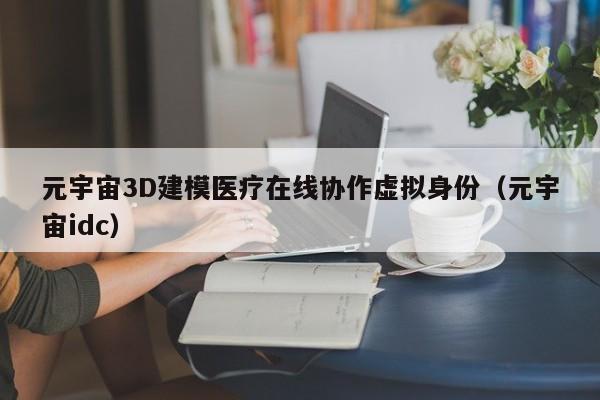 元宇宙3D建模医疗在线协作虚拟身份（元宇宙idc）