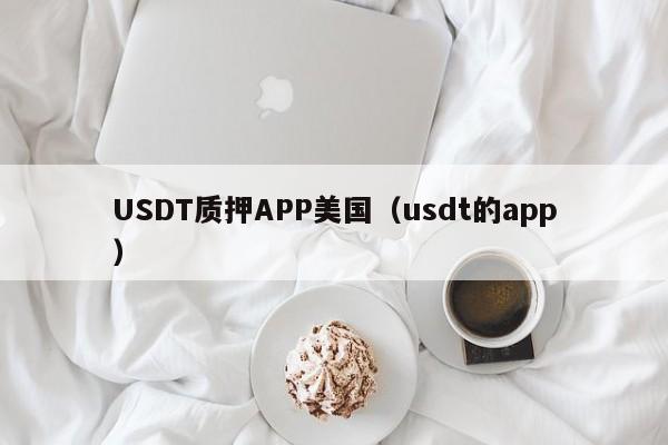 USDT质押APP美国（usdt的app）