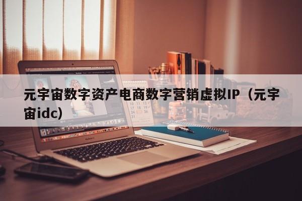 元宇宙数字资产电商数字营销虚拟IP（元宇宙idc）