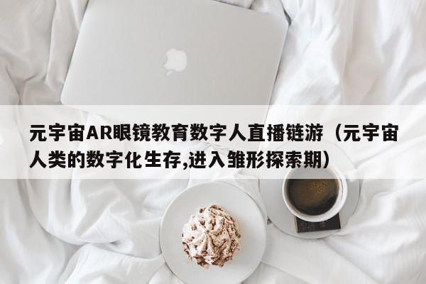 元宇宙AR眼镜教育数字人直播链游（元宇宙人类的数字化生存,进入雏形探索期）