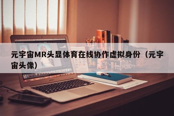 元宇宙MR头显体育在线协作虚拟身份(元宇宙头像)