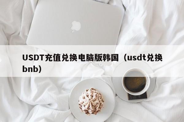 USDT充值兑换电脑版韩国（usdt兑换bnb）