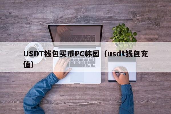 USDT钱包买币PC韩国(usdt钱包充值)